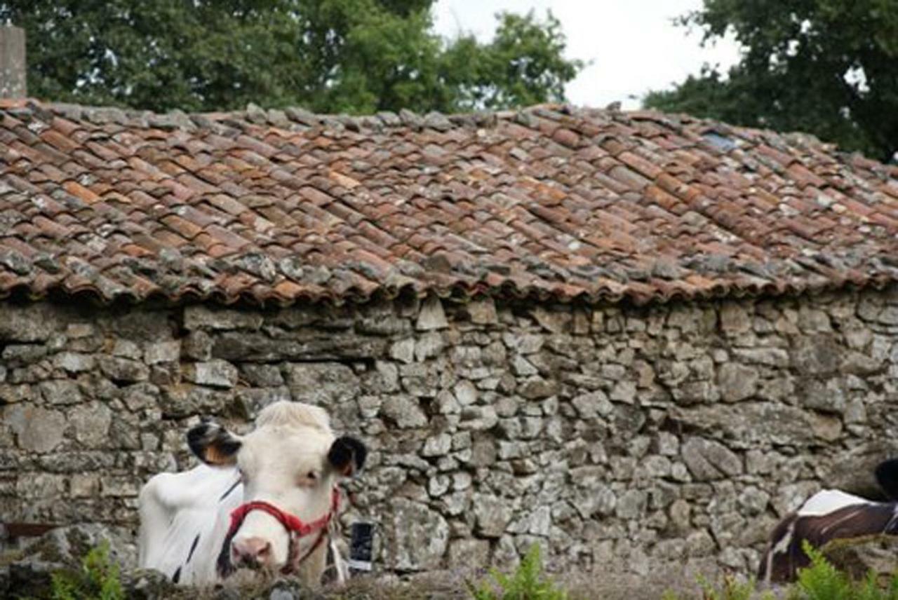 Stone Cottage Fisterra Curtis Exterior photo